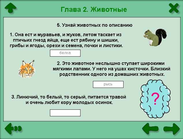 Конспект урока по познанию мира на тему Разнообразие животного мира. Группы животных ( 3 класс)