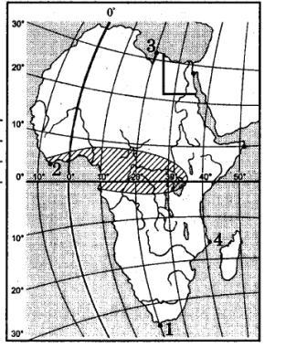 Контрольная работа по теме Африка 7 класс
