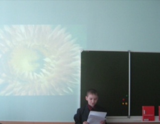 Презентация Редкие растения Мариинского района Кемеровской области