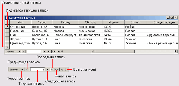 Программа Microsoft Access и объекты окна базы данных.