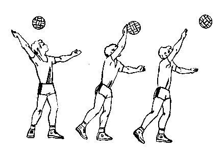 Методическая разработка Волейбол. Техника подачи