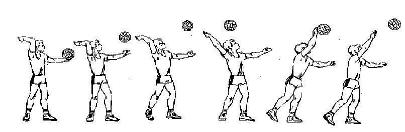 Методическая разработка Волейбол. Техника подачи