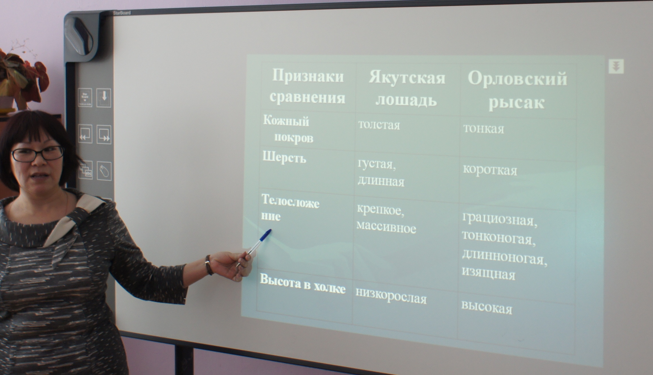 Конспект урока по якутской национальной культуре на тему Якутская лошадь от истоков к современности (5 класс)