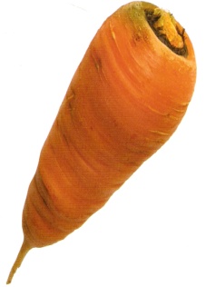 Конспект по опликацию на тему Морковь