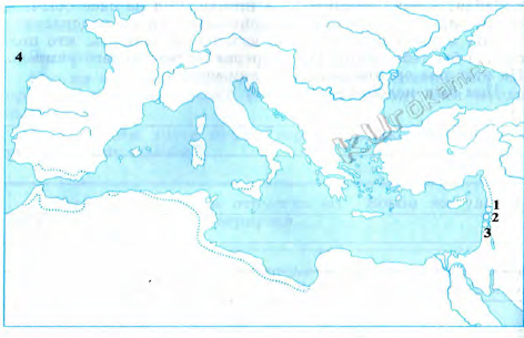 Рабочая карта к уроку всеобщей истории 5 класс. Финикийские мореплаватели.