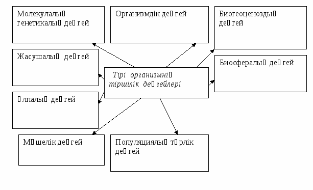 Презентация по биологие Сабақ жоспары(11 класс)