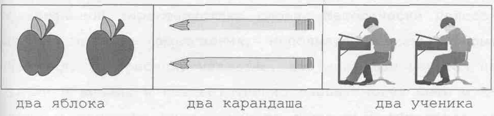 Дипломная работа. Продуктивные способы организации познавательной деятельности младших школьников на уроках русского языка.