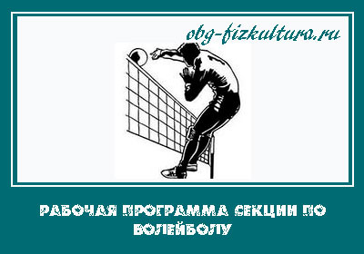 Разработка секционной программы по волейболу