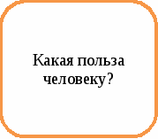 Урок окружающего мира по теме Насекомые, птицы, рыбы