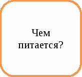 Урок окружающего мира по теме Насекомые, птицы, рыбы