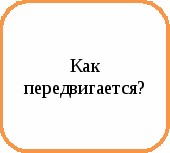 Урок окружающего мира по теме Насекомые, птицы, рыбы