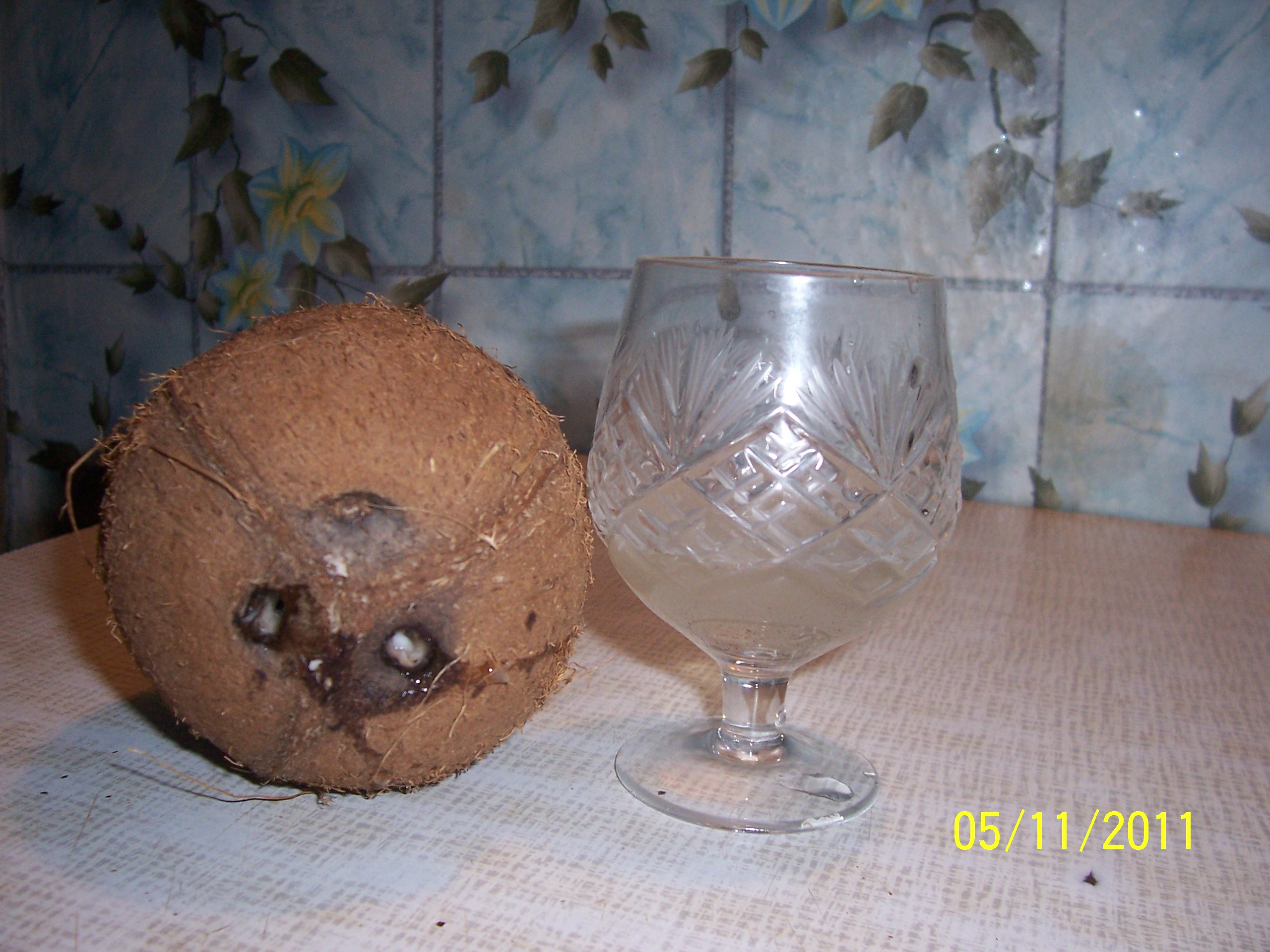 Исследовательская работа Получение кокосового масла в домашних условиях