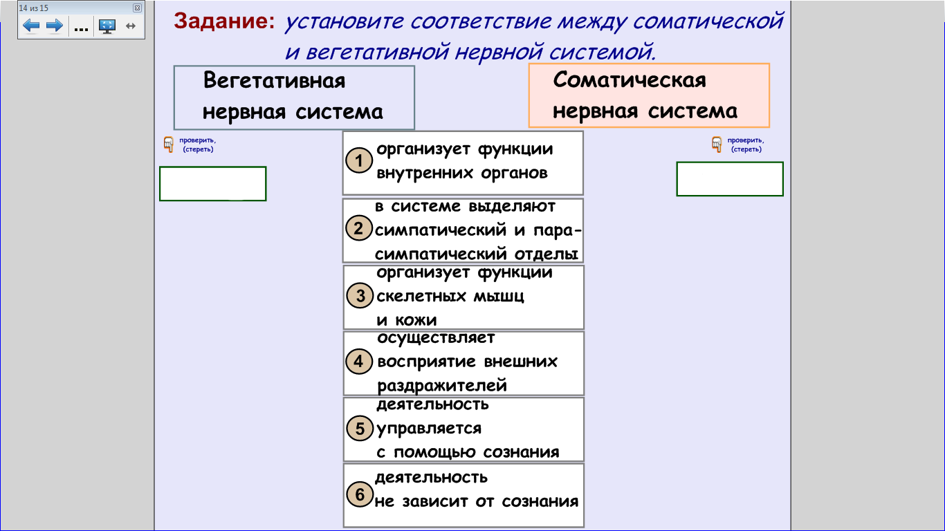 Методическая разработка учебного занятия по дисциплине «Анатомия»