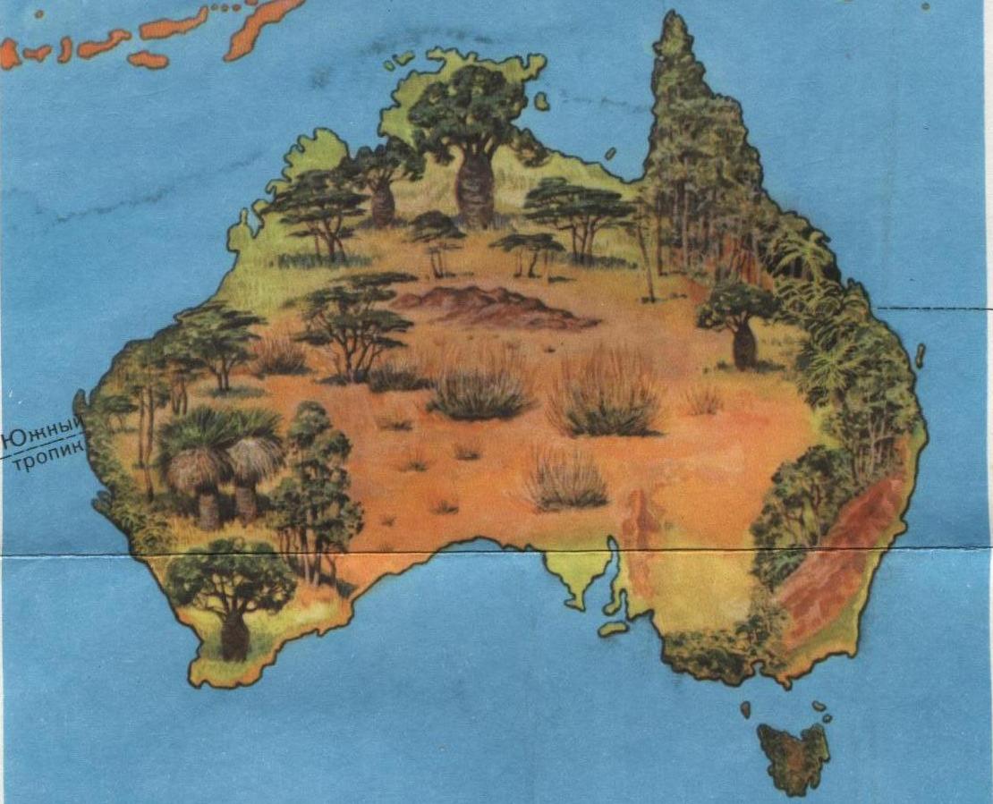 Конспект урока географии 7 класс Особенности природы Австралии