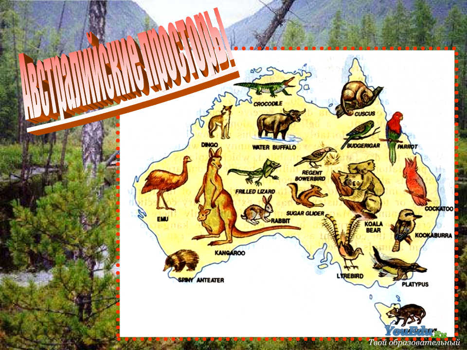 Конспект урока географии 7 класс Особенности природы Австралии