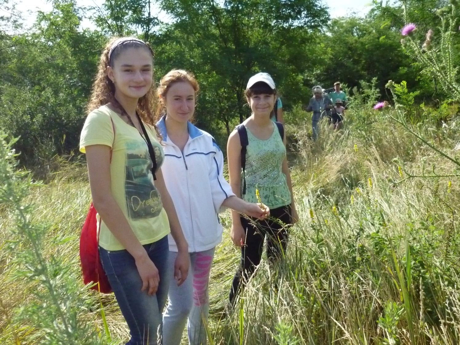 Статья 29 июля 2014 г. Ассоциацией