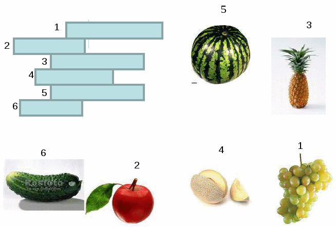 Дүниетану пәнінен Жануарлар әлемі ашық сабақ