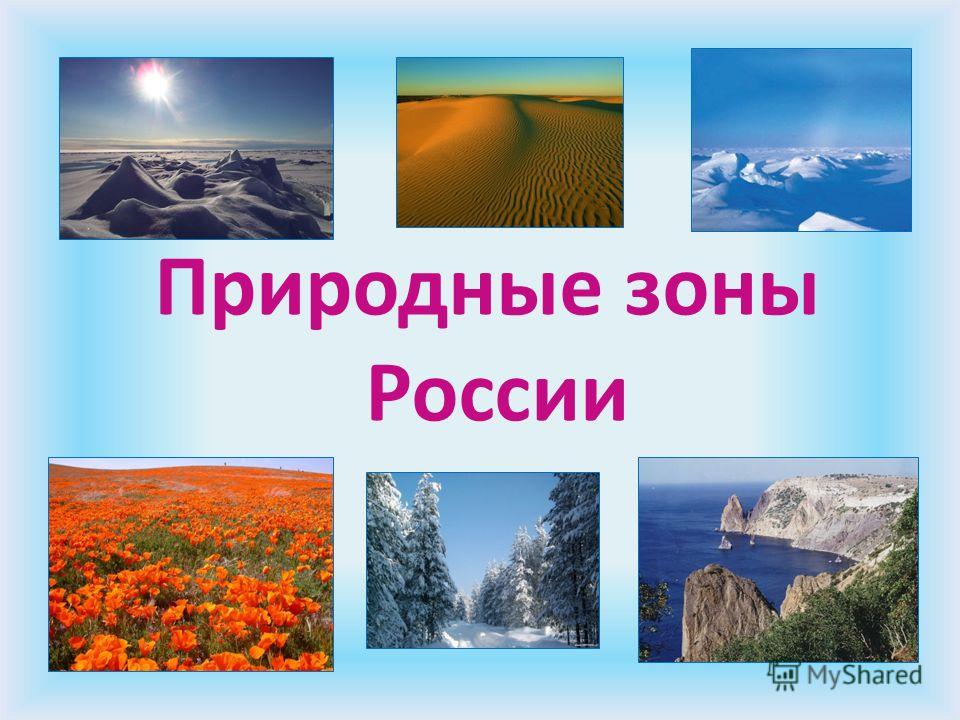 Сообщение по географии на тему Природные комплексы и зоны России (8 класс)