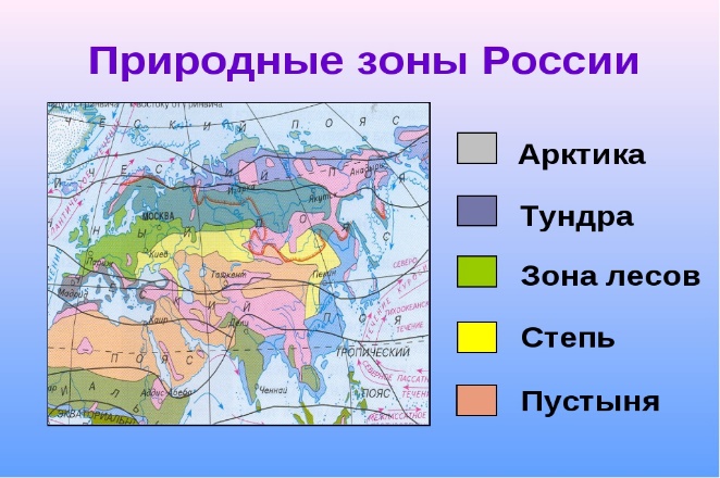 Сообщение по географии на тему Природные комплексы и зоны России (8 класс)