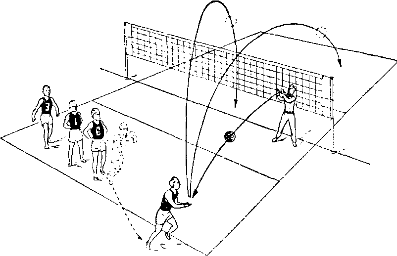 Открытый урок Волейбол 5 класс