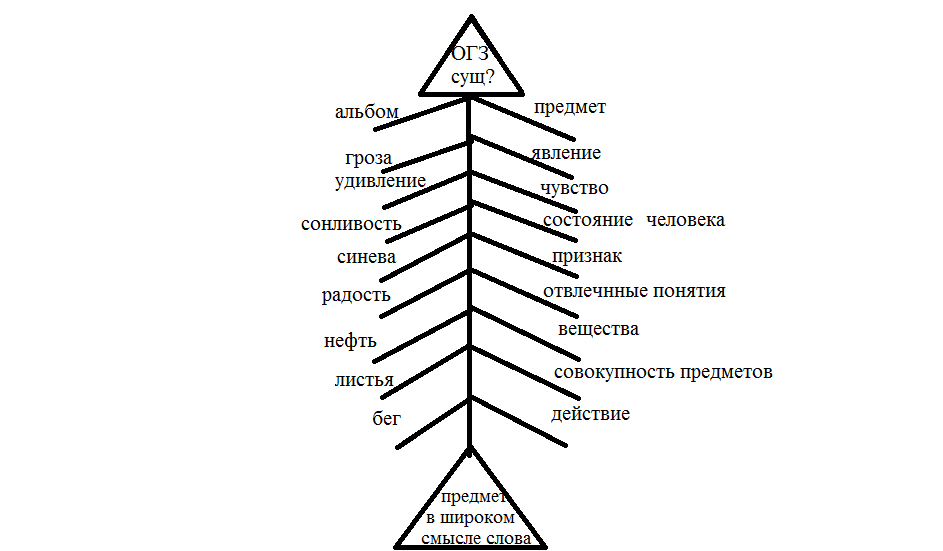 Урок по русскому языку для 5 класса «Общее значение имен существительных»