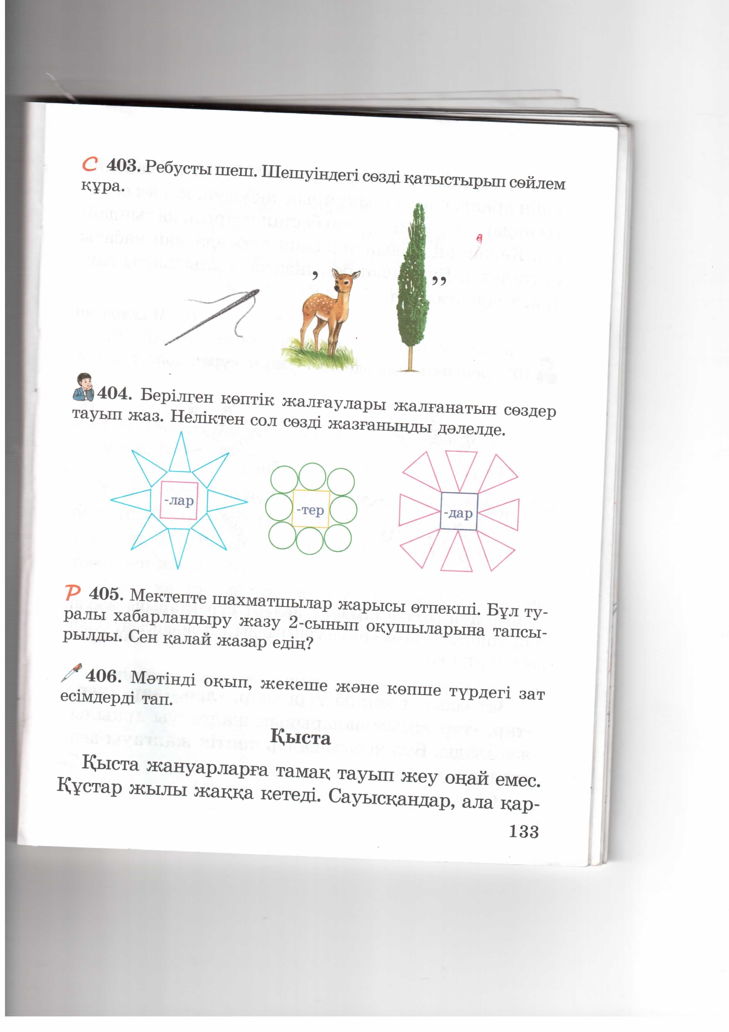 Зат есімнің жекеше және көпше түрлері.