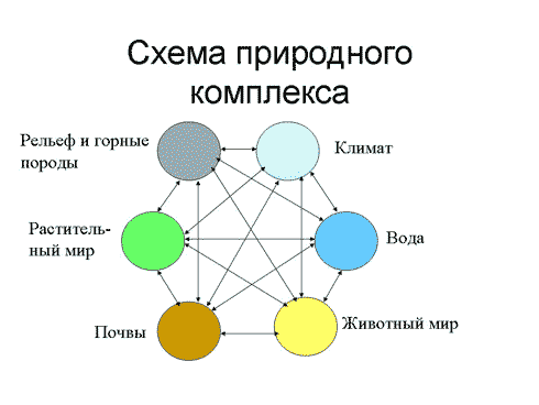 Открытый урок по теме Атмосфера и климат Земли