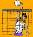 Методическая разработка занятия по теме Волейбол