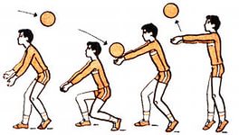 Методическая разработка занятия по теме Волейбол