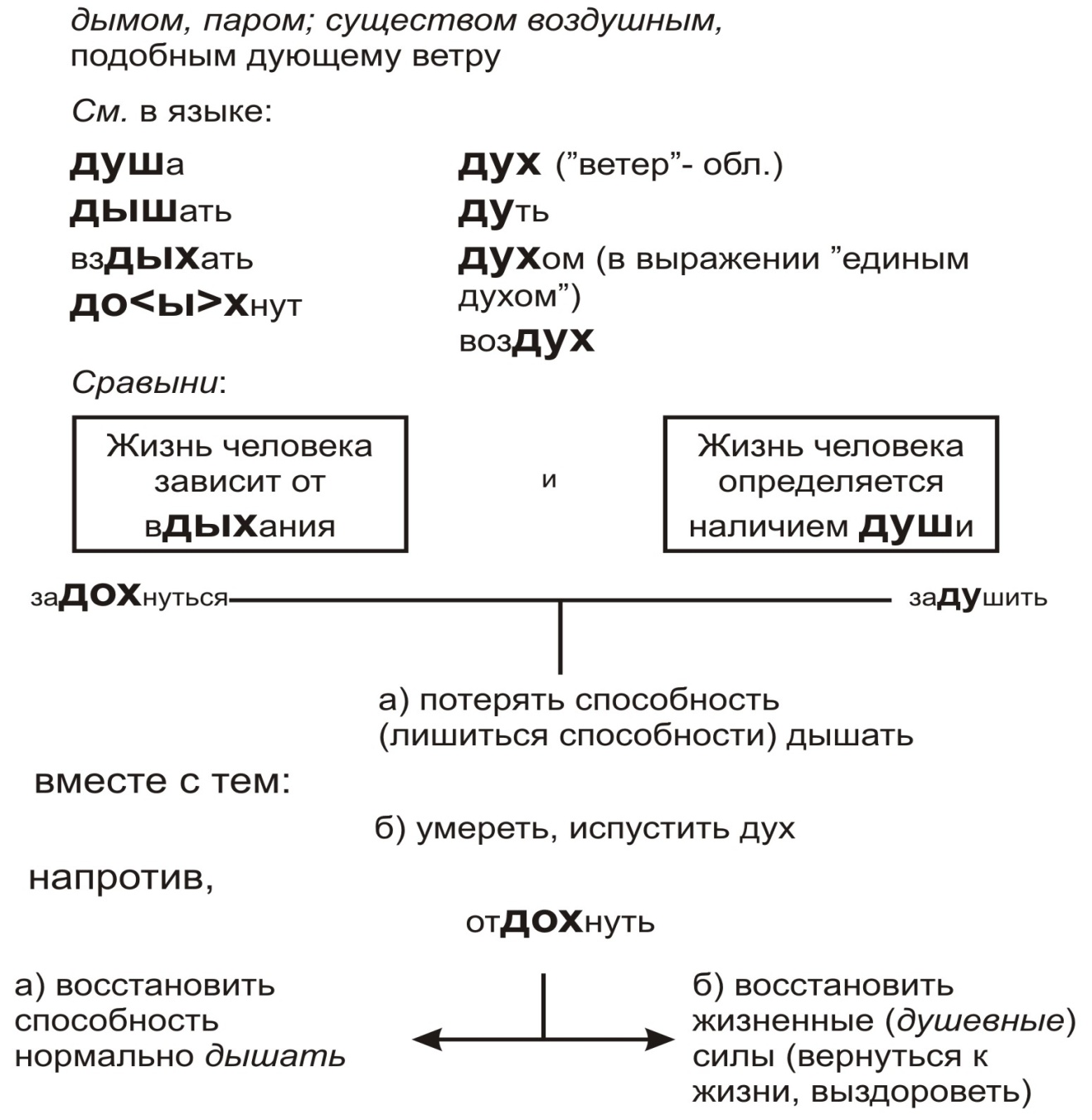 Учебно-исследовательская деятельность школьников на уроках русского языка