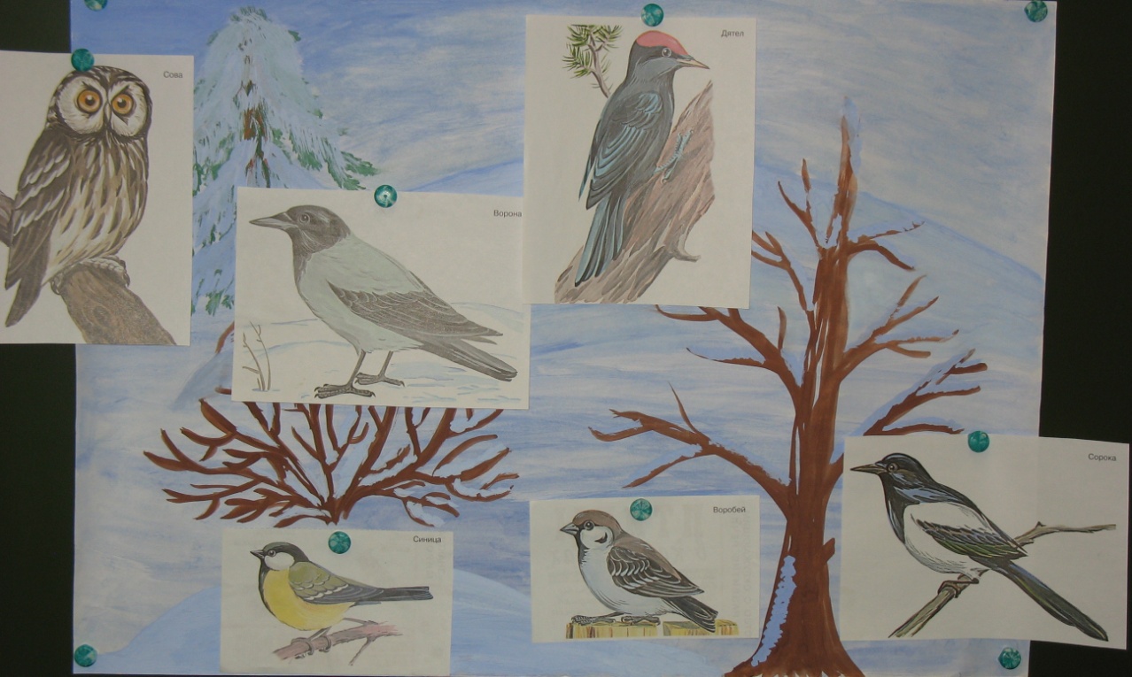 Конспект урока по окружающему миру на тему Как зимой помочь птицам (1 класс)