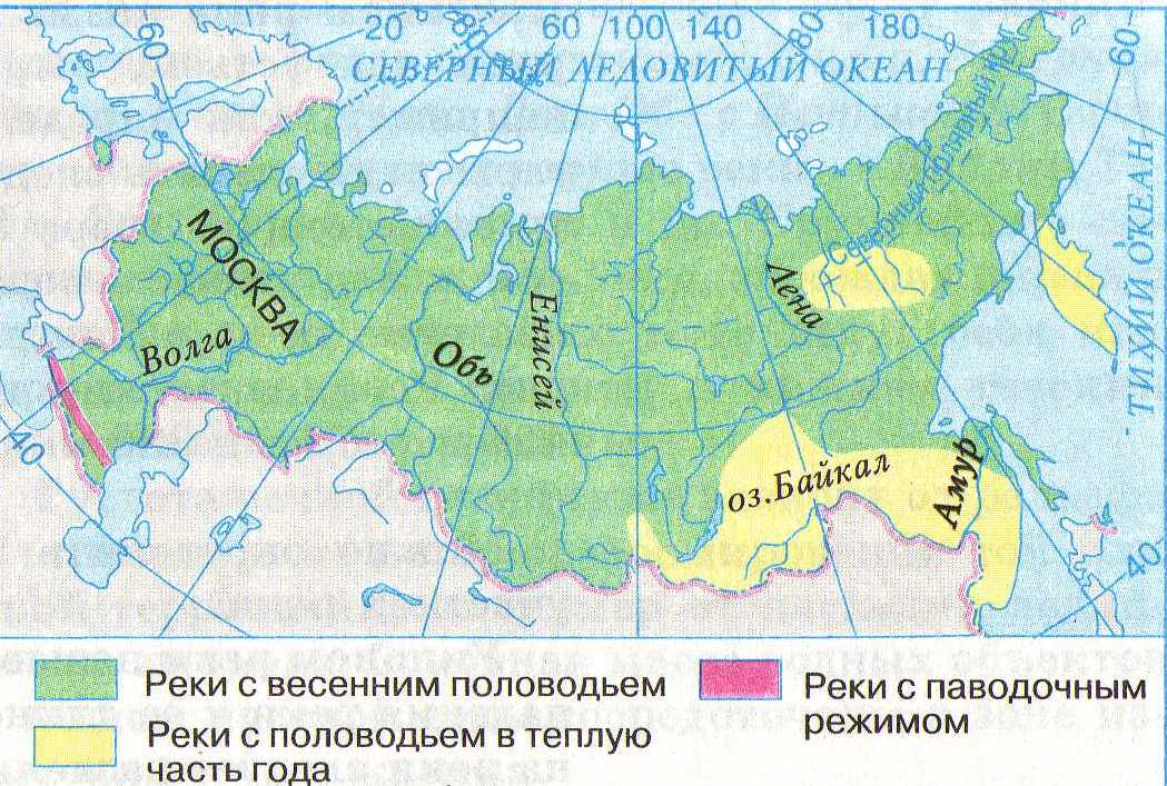 Рабочая программа по географии, к учебнику Домогацких Е.М. 6 класс