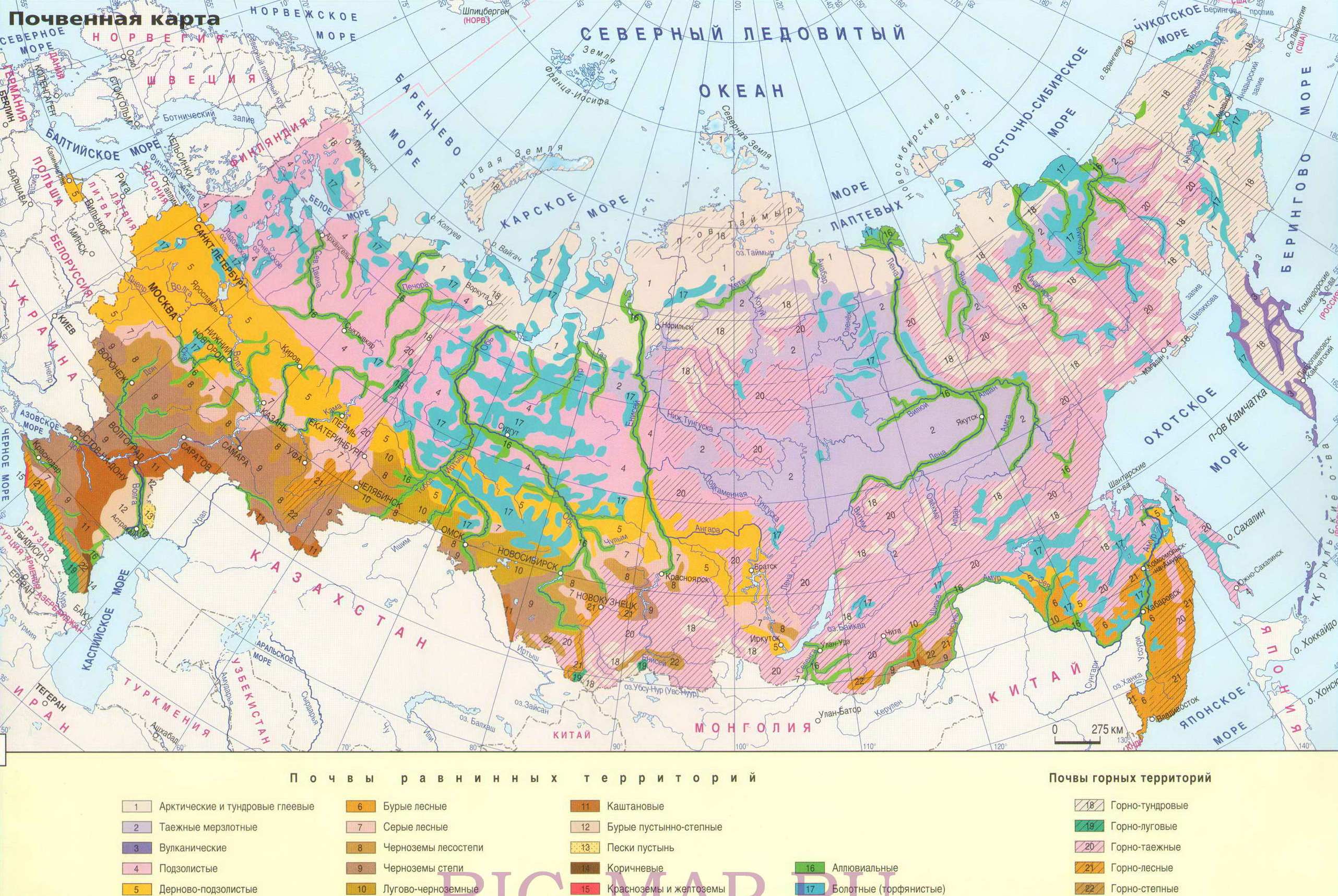 Рабочая программа по географии, к учебнику Домогацких Е.М. 6 класс