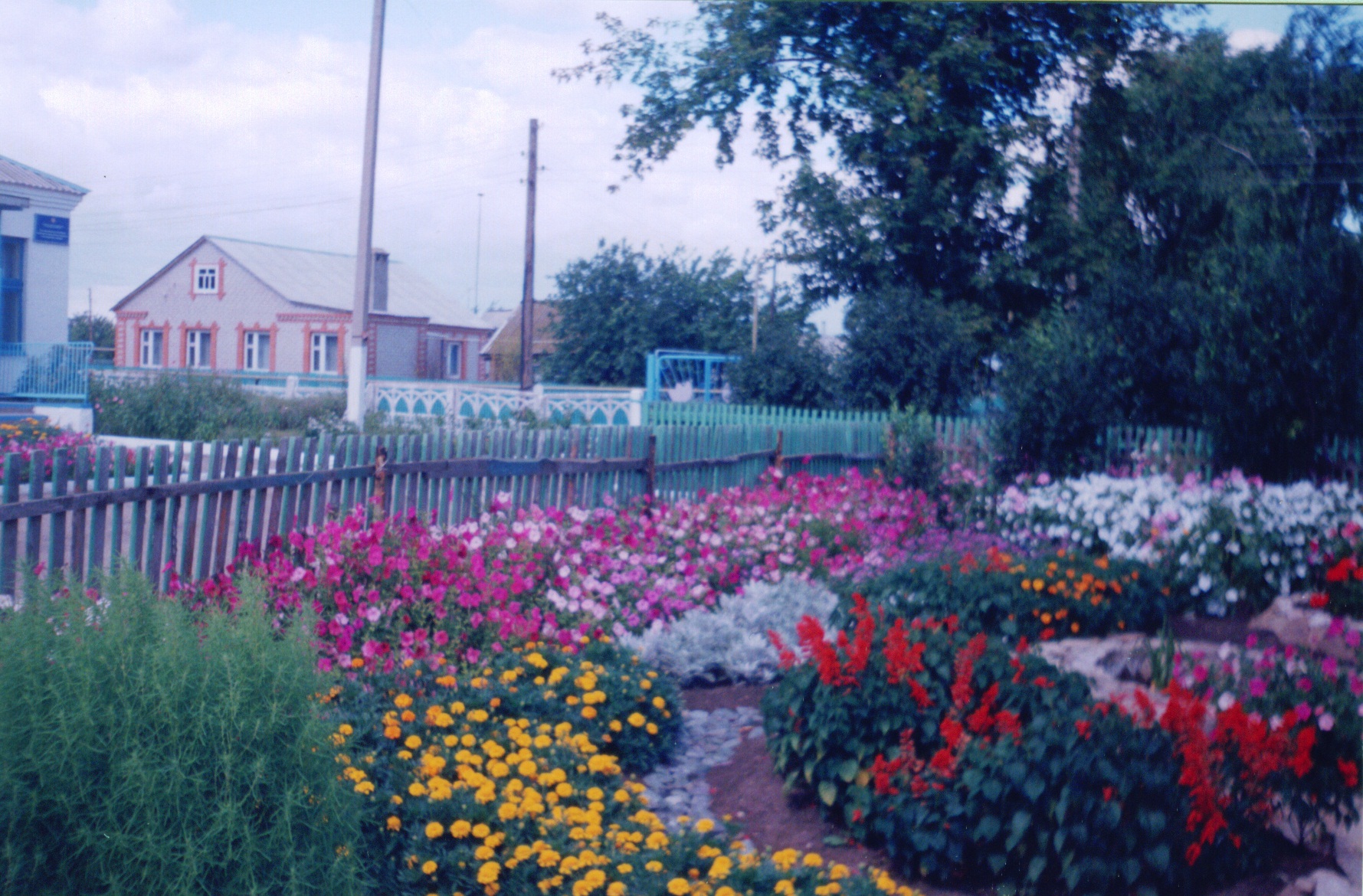 Пришкольный участок с цветами ранней весной