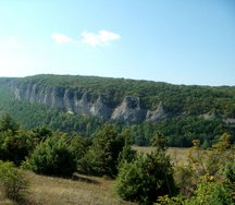 Конспект урока по окружающему миру Животный мир Бахчисарайского района Радченко Елена Дмитриевна