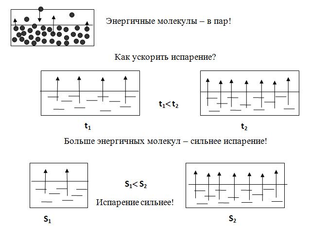 Урок физики 8 класс «Испарение и конденсация»