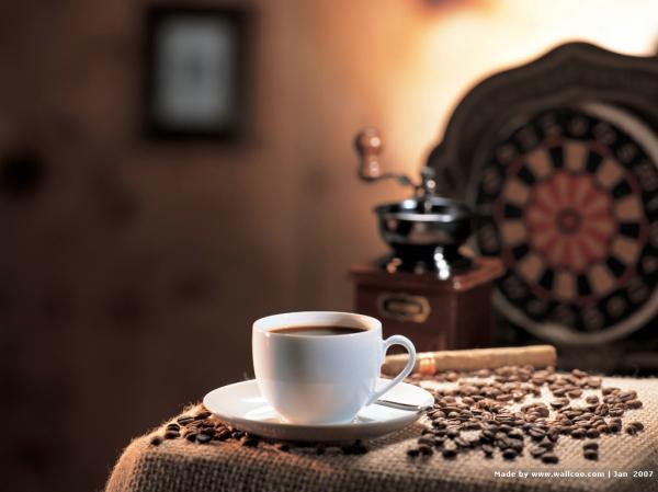 Исследовательская работа «Тайны кофейного зёрнышка»