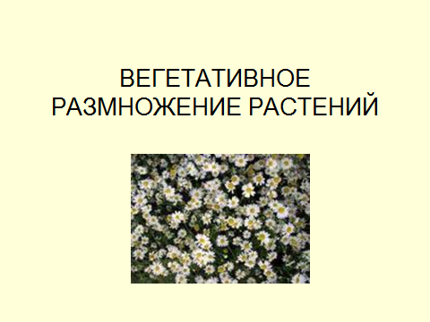 Методическая разработка урока биологии Вегетативное размножение растений, 6 класс