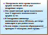 Конспект открытого урока по биологии Кожа - наружный покровный орган