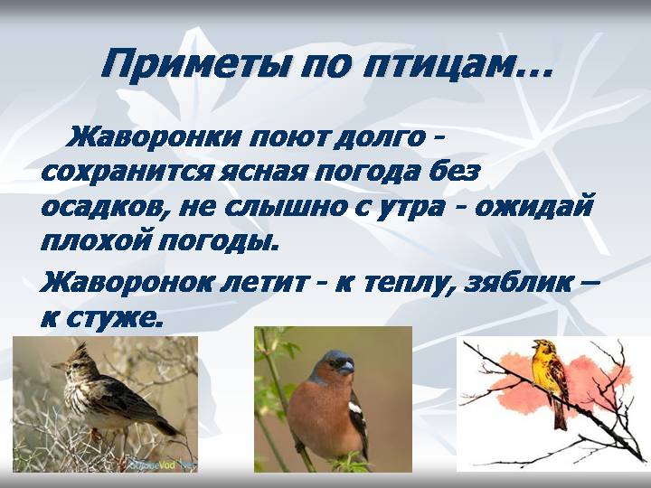 Дидактическое пособие по экологическому воспитанию детей старшего дошкольного возраста.Народные приметы в соответствии с ФГОС.