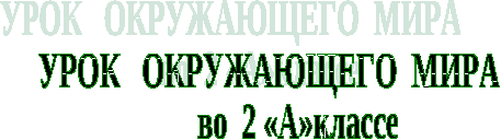 Урок окружающего мира во 2 классе Будь природе другом!