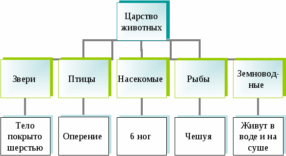 Конспект познавательного занятия в подготовительной группе на тему: «Царство животных».