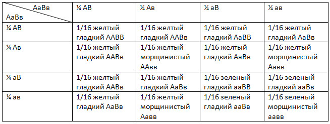 Уроки биологии 10 класс, 3 четверть