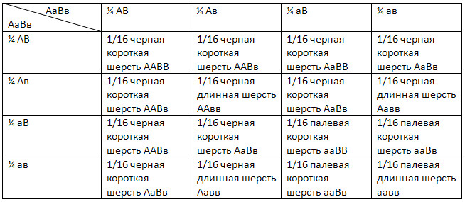 Уроки биологии 10 класс, 3 четверть