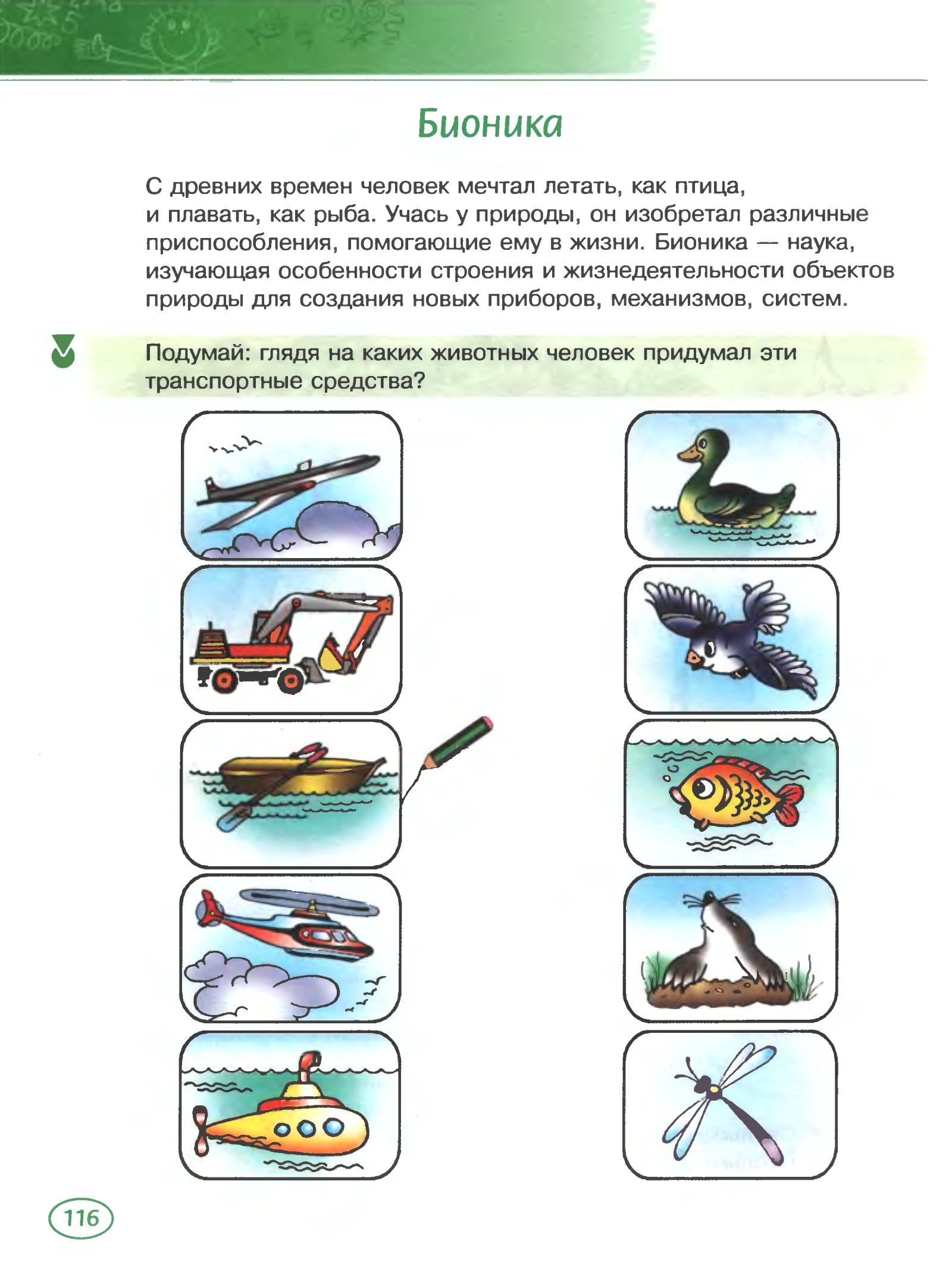 Игровая программа для 1 - 2 классов В мире животных