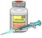Исследовательская работа на тему «Изучение роли вакцинации от гриппа в условиях посёлка Сингапай»