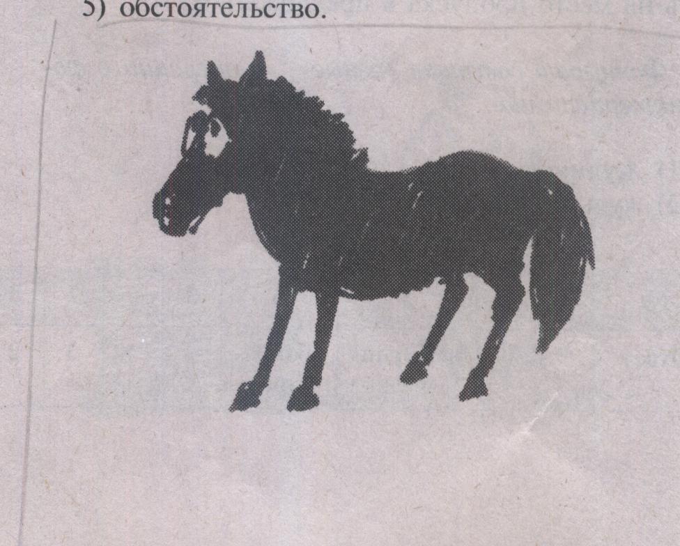 Раздаточный материал к уроку русского языка в 6 классе по теме Фразеологизмы