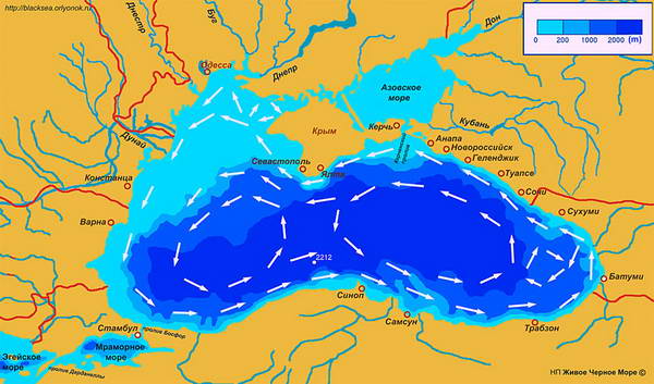 Тема: Чёрное море. Особенности географического положение и рельефа дна. Гидрологический режим, климатические условия.