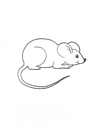 Открытый урок по литературному чтению на тему С.Я. Маршак Сказка о глупом мышонке