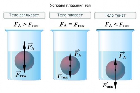Конспект открытого урока по физике Выталкивающая сила. Закон Архимеда. Условия плавания тел 8 кл.